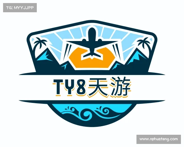 关于TY8天游